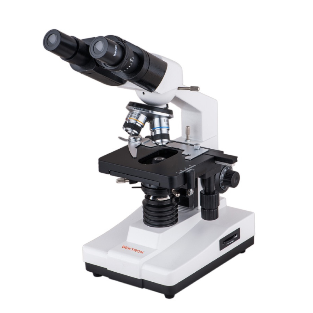 Educational Binocular Microscope